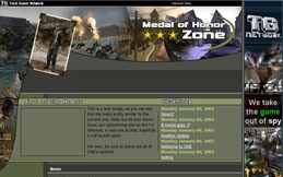 An image of Medal of Honour Zone